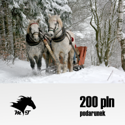 Podarunek 200 PLN