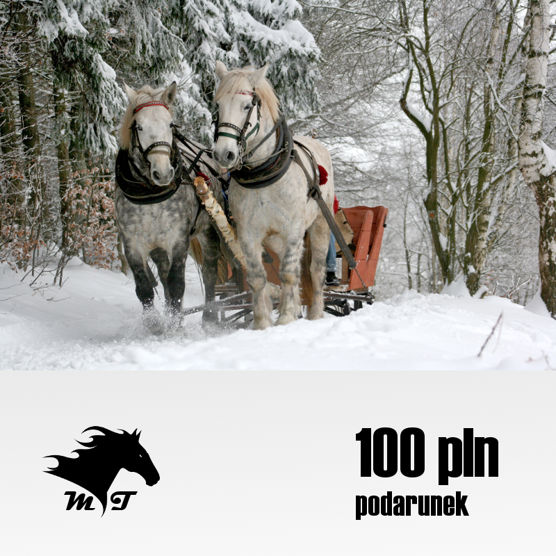 Podarunek 100 PLN