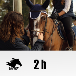 Jazda konna w siodle dla...